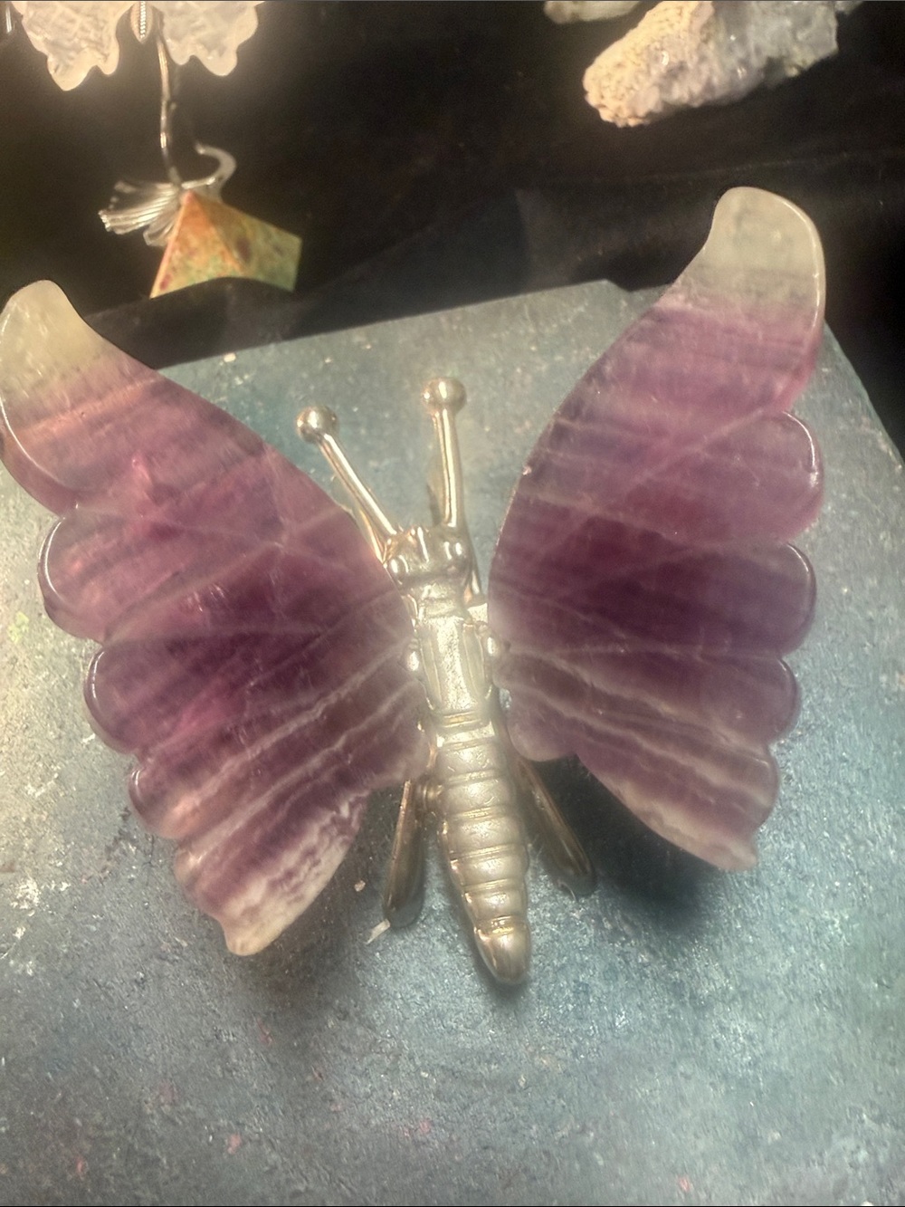 Banded fluorite butterfly purple